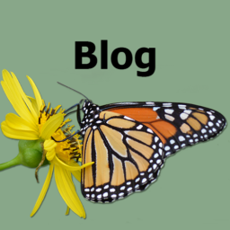 Welcome to the Backyard Ecology Blog