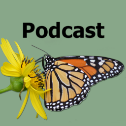 Introducing the Backyard Ecology podcast