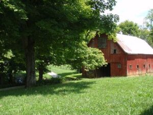 Our barn with a tree in front