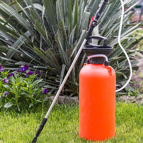 Orange pump sprayer sitting in yard